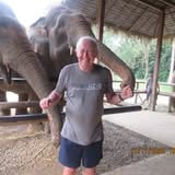 Stephen John Howes profile picture