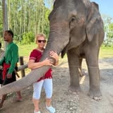Sue Davis profile picture