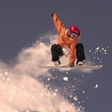 Traveler15903857706 profile picture