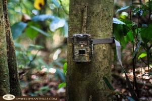 Camera trap Camera trap