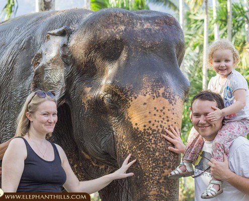 Families will love Elephant Hills in Thailand and the unique elephant experience