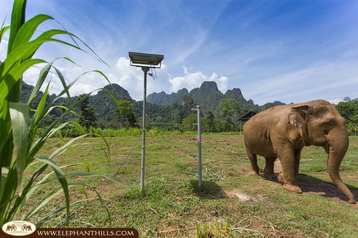 The Elephant Camp embedded in a breathtaking and stunning scenery