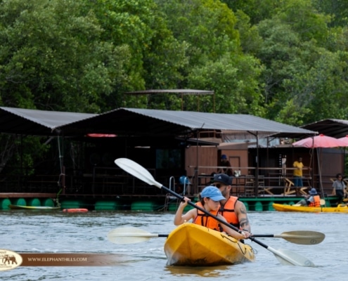 The Ultimate Whycation: An All-Inclusive Escape from Decision Fatigue in Khao Sok 2 Whycation
