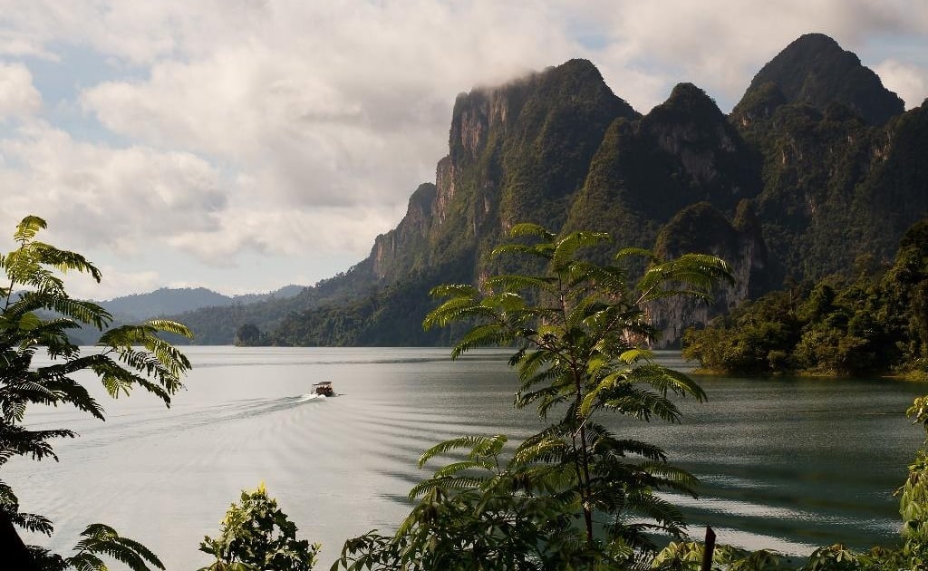 JUNGLE SAFARI – 4 Days & 3 Nights 4