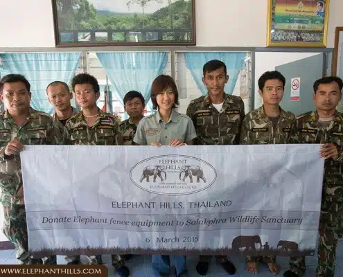Elephant Conservation Project 24