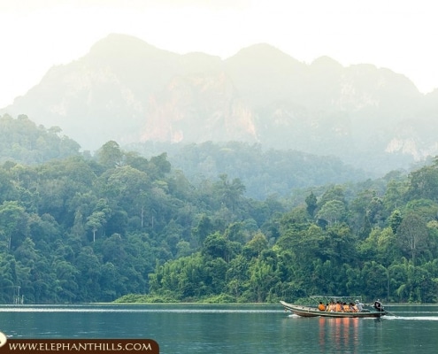 Longtail boat cruise to the Rainforest Camp