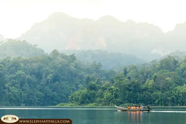 Longtail boat cruise to the Rainforest Camp