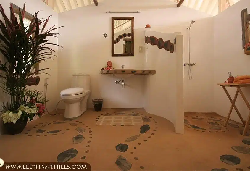 Luxurious bathroom with hot and cold shower and westernstyle toilet