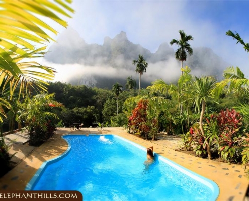 Relaxing at and in the pool, while enjoying the amazing rainforest view