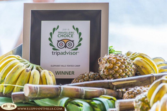 Elephant Hills tripadvisor travellers choice winner