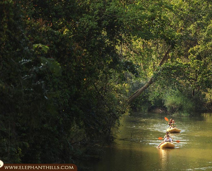 Canoeing down Sok River at the Elephant Camp in Khao Sok