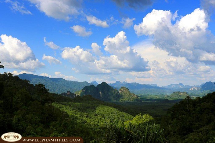 Khao Sok National Park part of Southern Thailand's rainforest
