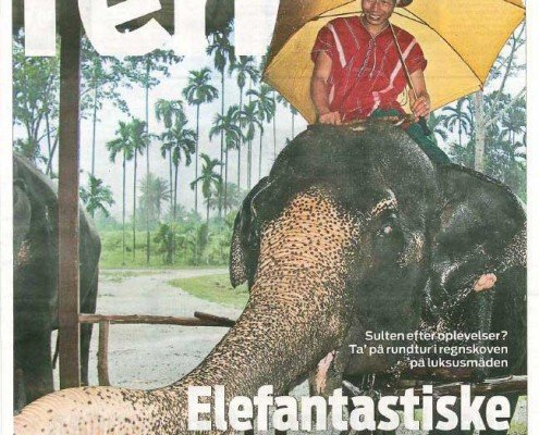 Elefantastiske Thailand - Ekstrabladet 28