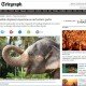 Responsible elephant experiences and nature parks - The Telegraph 2
