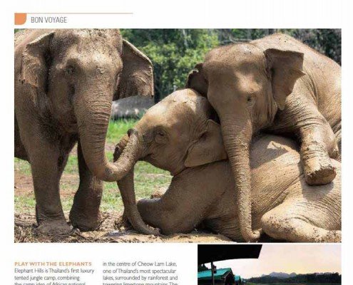 Bon Voyage - Play with the Elephants by holidaysforcouples.travel 11