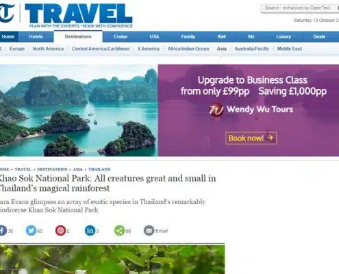 Khao Sok National Park: All creatures great and small in Thailand's magical rainforest - by Telegraph Travel Magazine 21