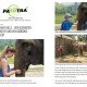 ELEPHANT HILLS – VON ELEFANTEN GEDUSCHT UND VON GIBBONS GEWECKT – by PATOTRA (Passion to Travel) 1