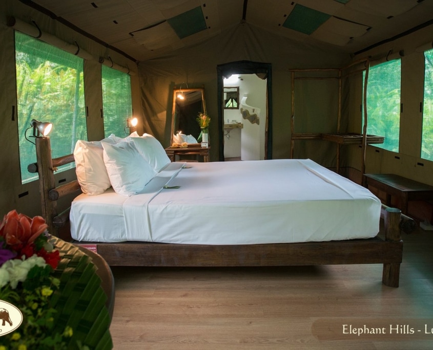 Luxury Camping - Glamping in Khao Sok 1