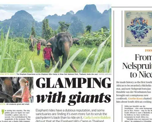 Glamping with giants! Be dazzled by the latest South African article about us in City Press Newspaper 5