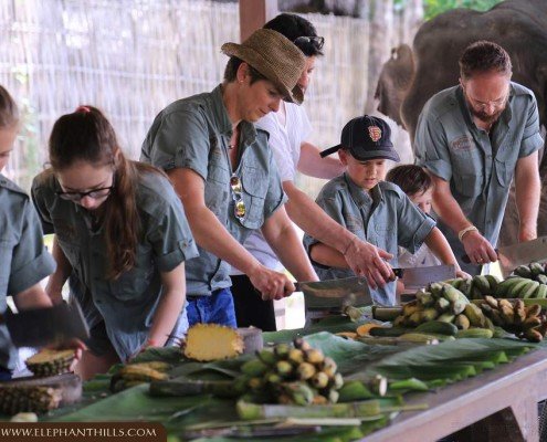 Elephant Hills Elephant Experience Family Holidays in Thailand in cool Rainforest Ranger Safari Shirts