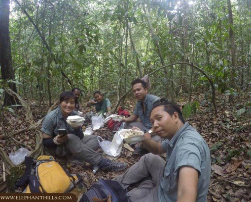 Camera_Trap-Jun2016-07