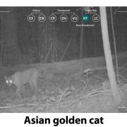 New missions for our Camera Traps 2017 3