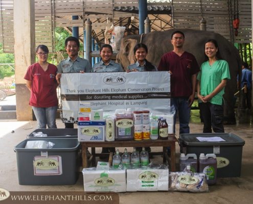 Elephant Hills supports Elephant Hospital in Lampang 11