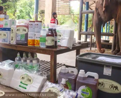 Elephant Hills supports Elephant Hospital in Lampang 6