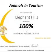 Animals in Tourism 100%