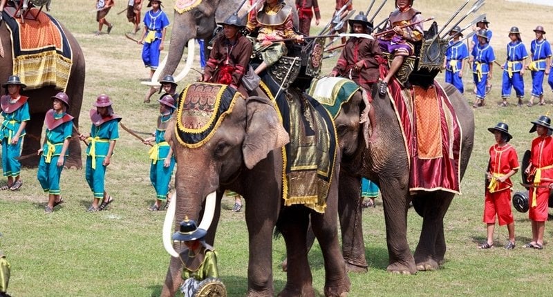 Improving mahout facilities at Surin Elephant Hospital 4