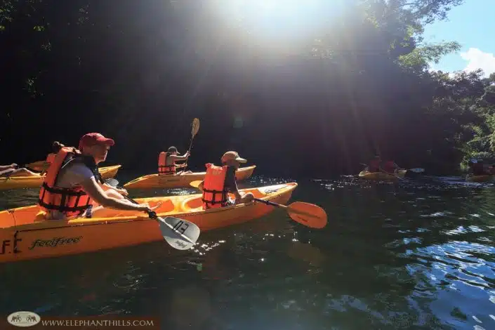 Kayaking to spot wildlife