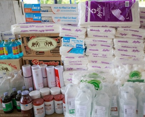 Powdered milk and other supplies for baby elephants at Krabi Hospital 8