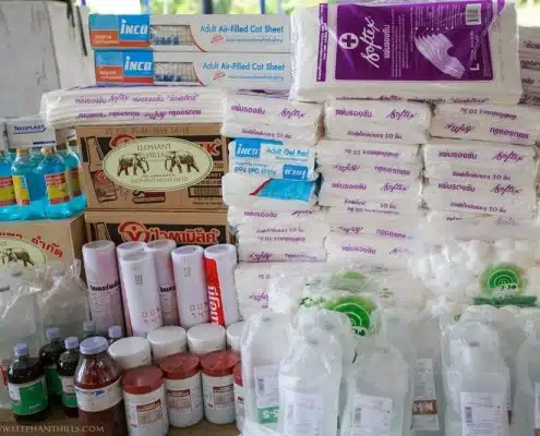 Powdered milk and other supplies for baby elephants at Krabi Hospital 7