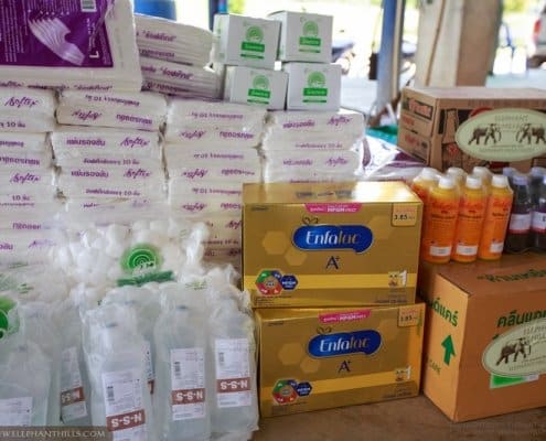 Powdered milk and other supplies for baby elephants at Krabi Hospital 9