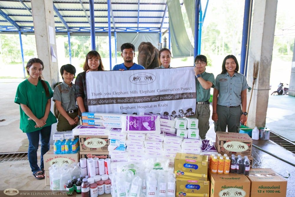 Powdered milk and other supplies for baby elephants at Krabi Hospital 12