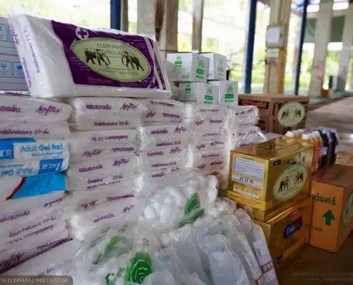 Powdered milk and other supplies for baby elephants at Krabi Hospital 3