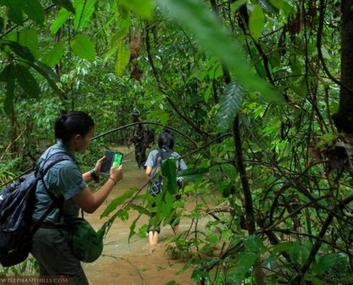 Wading through flooded jungle to reach camera traps 9