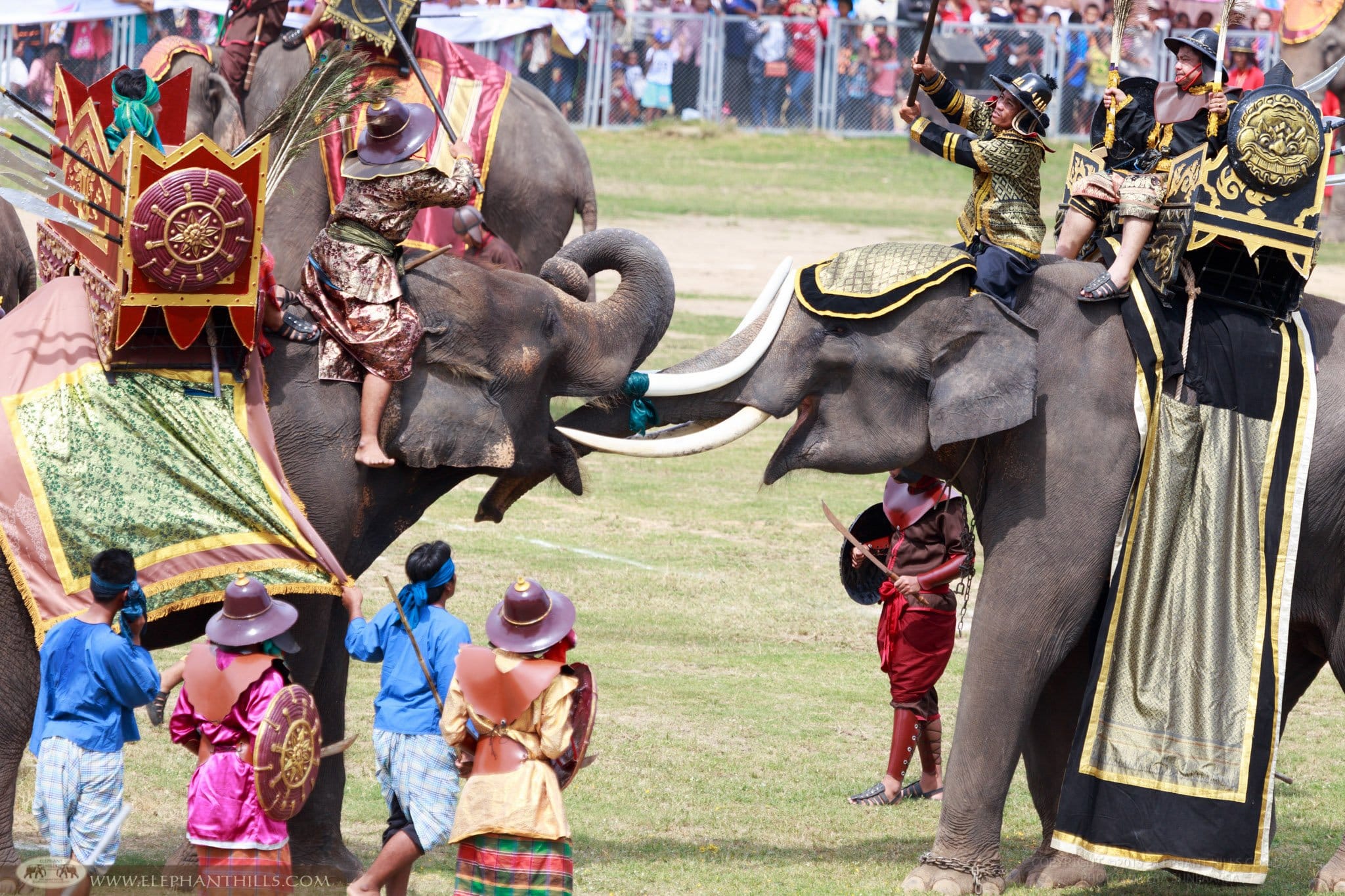 Elephants use to be part of Thailand’s war in the past; this show was set at Surin, North Eastern province in Thailand