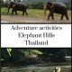 Adventure activities at Elephant Hills, Thailand 2