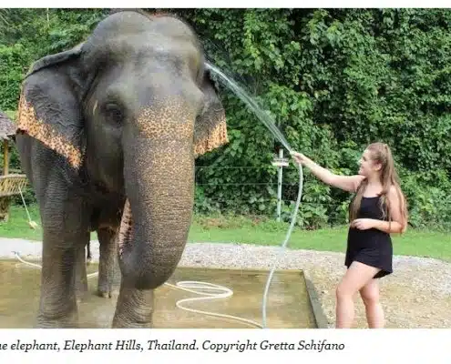 Teens in Thailand: A family holiday review 5