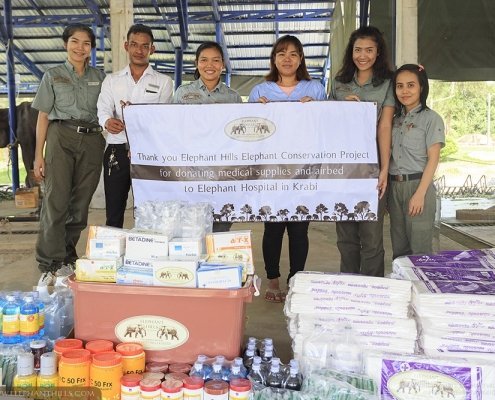 Essential medical supplies for Krabi Elephant Hospital 5