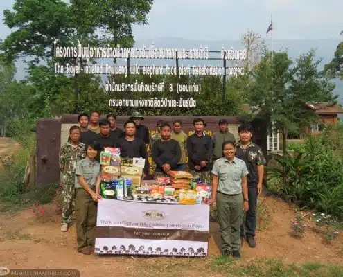 Helping wild elephants at Phu Luang Wildlife Sanctuary 12