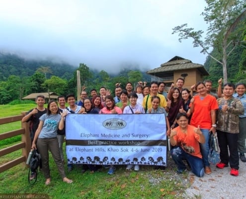 Elephant Hills hosts veterinary workshop 15