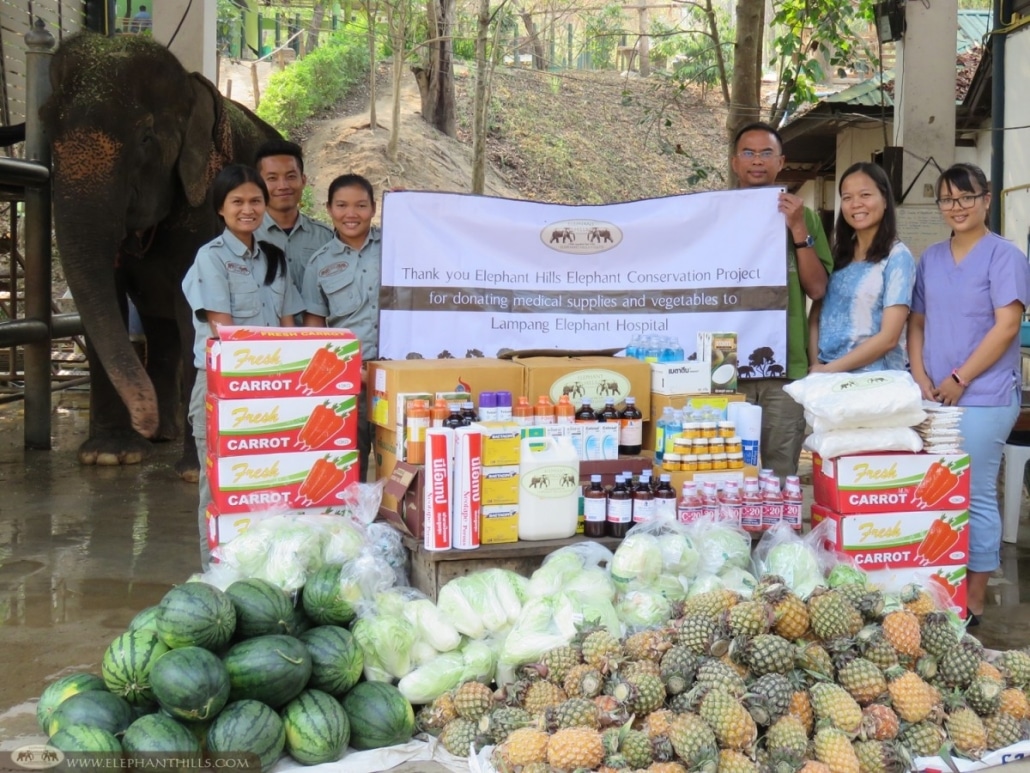 Elephant food and medical supplies donated to Lampang Hospital 2