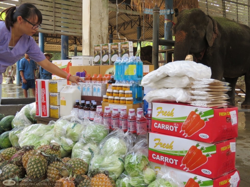 Elephant food and medical supplies donated to Lampang Hospital 45