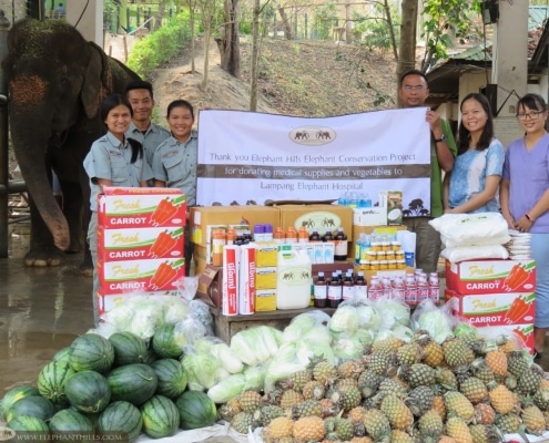 Elephant food and medical supplies donated to Lampang Hospital 6