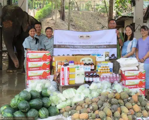 Elephant food and medical supplies donated to Lampang Hospital 8