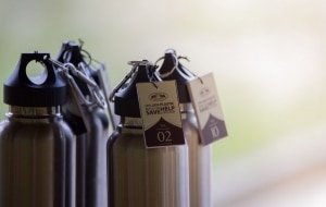 What to Pack for Elephant Hills Thailand