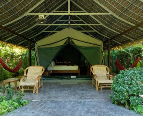 JUNGLE SAFARI – 3 Days & 2 Nights 2