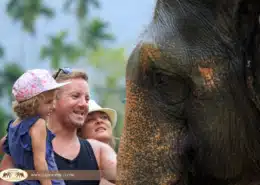 Our Unique Elephant Experience 6